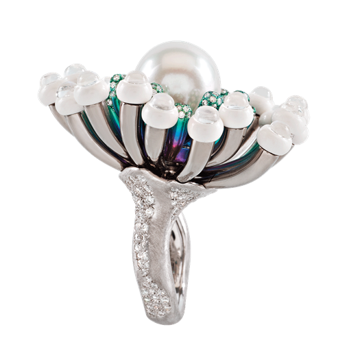 Anemonirings4