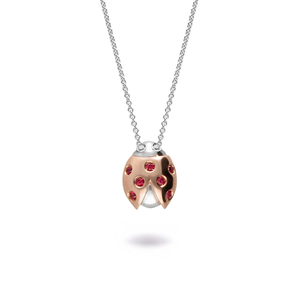 Var&euml;se Ladybug
